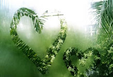 阿贾克斯队员状态火热，连续进球：一波进攻狂潮点燃荷兰夜空